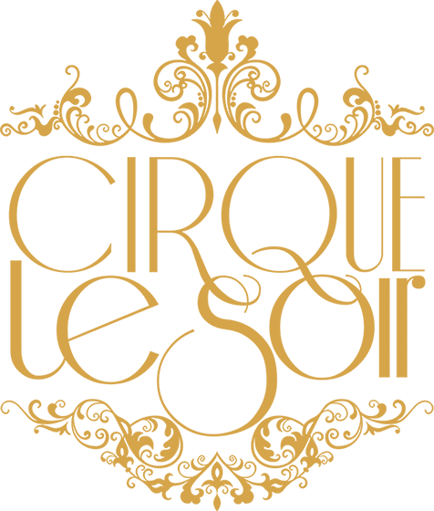 Partner Logo